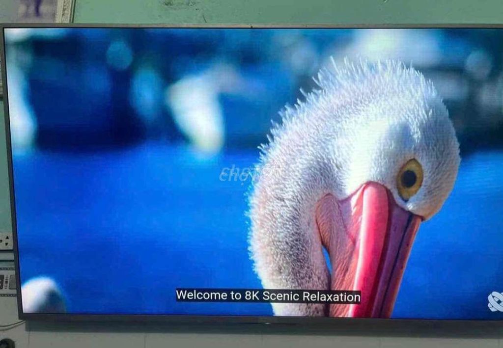 Tivi Sony 55 inch Android. Mua bán Tivi, Âm thanh tại Thành phố Thuận An Bình Dương được đăng bởi a tuan hình 1