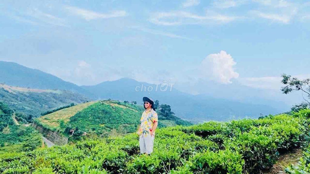 SIÊU FARM NGHỈ DƯỠNG 1,45HA – MẶT TIỀN BLAOSIRE ĐẦY ĐỦ NGUỒN THU CÀ SẦ