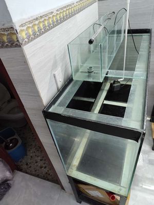 Thanh lý  full bộ hồ 1m2-40-60 kính full 8ly. Mua bán Phụ kiện, Thức ăn, Dịch vụ tại Quận 12 Tp Hồ Chí Minh được đăng bởi Nguyennhuduc