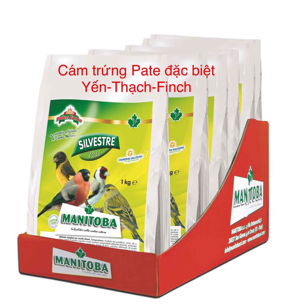 1KG CÁM TRỨNG SILVESTRE CHO THẠCH -YẾN-FINCH