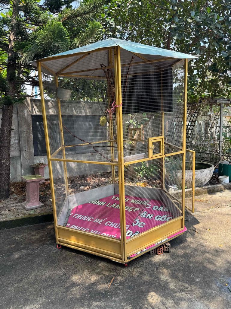 Lồng chim Kim loại màu Vàng. Mua bán Phụ kiện, Thức ăn, Dịch vụ tại Quận Liên Chiểu Đà Nẵng được đăng bởi Do Thi Thu Trang hình 1