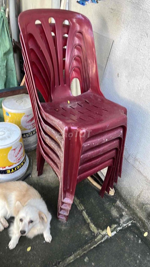 ghế nhựa duy tân 50/1c. Mua bán Bàn ghế tại Huyện Long Điền Bà Rịa - Vũng Tàu được đăng bởi linh anh hình 1