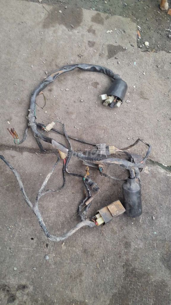 Dây điện sườn wave  nhỏ. Mua bán Phụ tùng xe tại Quận Bình Tân Tp Hồ Chí Minh được đăng bởi Bé Hằng  hình 1