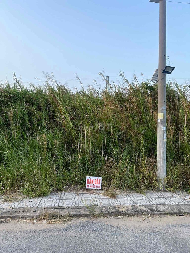 ⭐️BÁN ĐẤT PHƯỜNG TÂN HẠNH, TỈNH VĨNH LONG