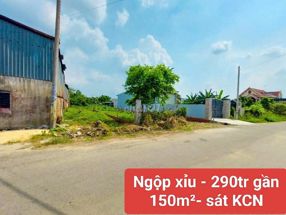 Ngộp xỉu ra gấp lô 300m2 giá 290tr