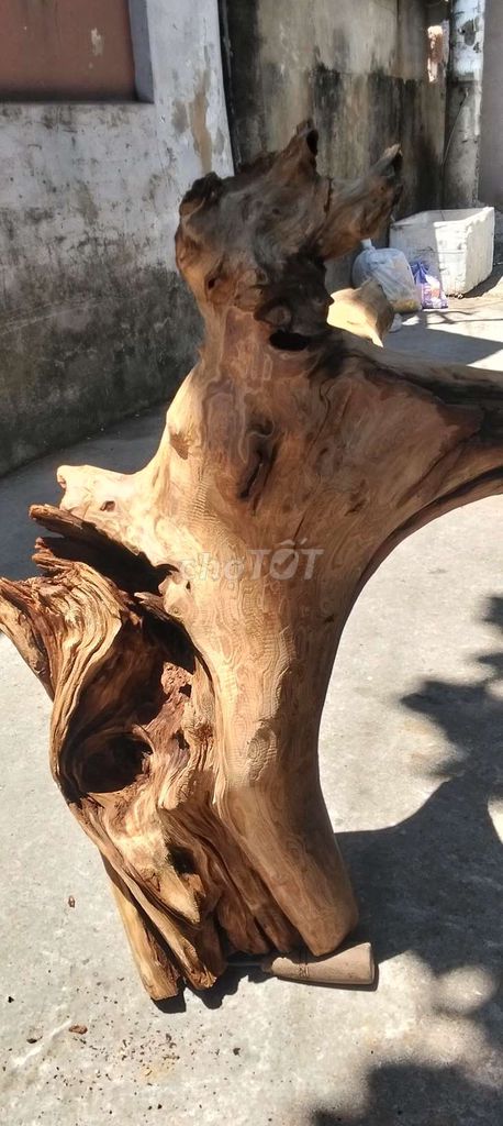 Gỗ lũa Gỗ thơm Nâu Tự nhiên. Mua bán Cây cảnh, đồ trang trí tại Quận Liên Chiểu Đà Nẵng được đăng bởi gỗ  hình 1
