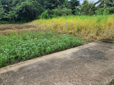 Chính chủ cần ván đất đường Long Khánh , Xã P Hậu, C Giuộc, Long An. Mua bán đất tại Huyện Cần Giuộc Long An được đăng bởi Hiếu Nguyễn Trung