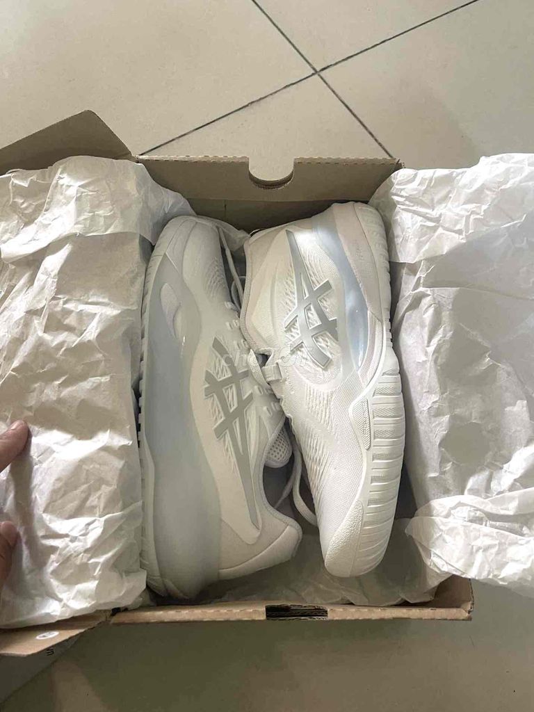 Giày Asics Gel X - New 100% - Giày Pickleball