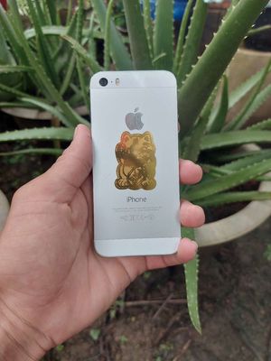 Dư dùng bán cho ae đam mê sưu tầm. Mua bán Điện thoại tại Huyện Giồng Trôm Bến Tre được đăng bởi trung 