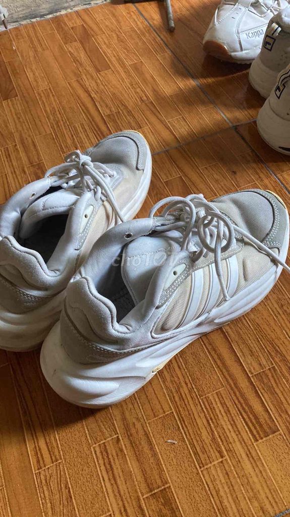 Giày chạy bộ Adidas Nam Trắng size 40. Mua bán Giày dép tại Huyện Văn Giang Hưng Yên được đăng bởi Hoàng Thanh Khang hình 1
