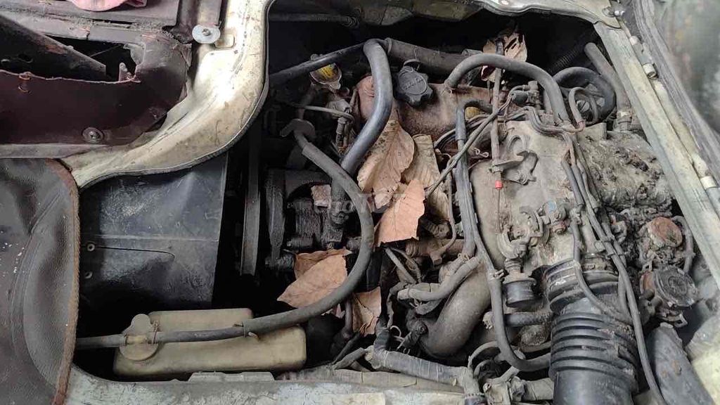 Toyota 1984 - 300000 km. Mua bán Ô tô tại Quận Cái Răng Cần Thơ được đăng bởi Ng V hình 5