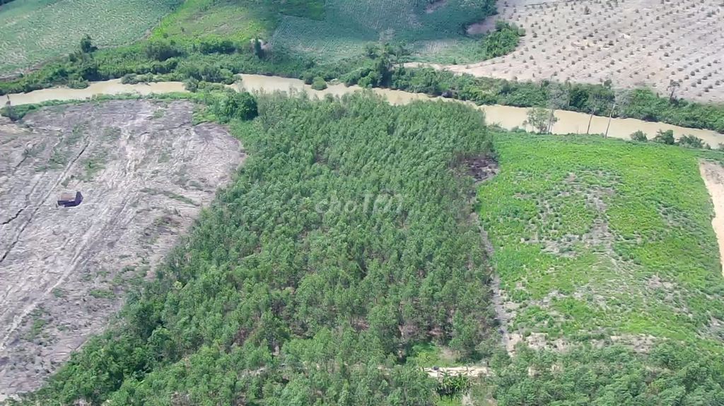 Bán 11.173,9 m2 đất nông nghiệp giáp sông tại tỉnh Daklak