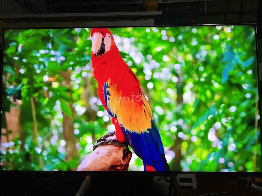 Smart Tivi Sony 65X8500G. Mua bán Tivi, Âm thanh tại Quận Hoàng Mai Hà Nội được đăng bởi Điện Tử Quốc Doanh hình 1