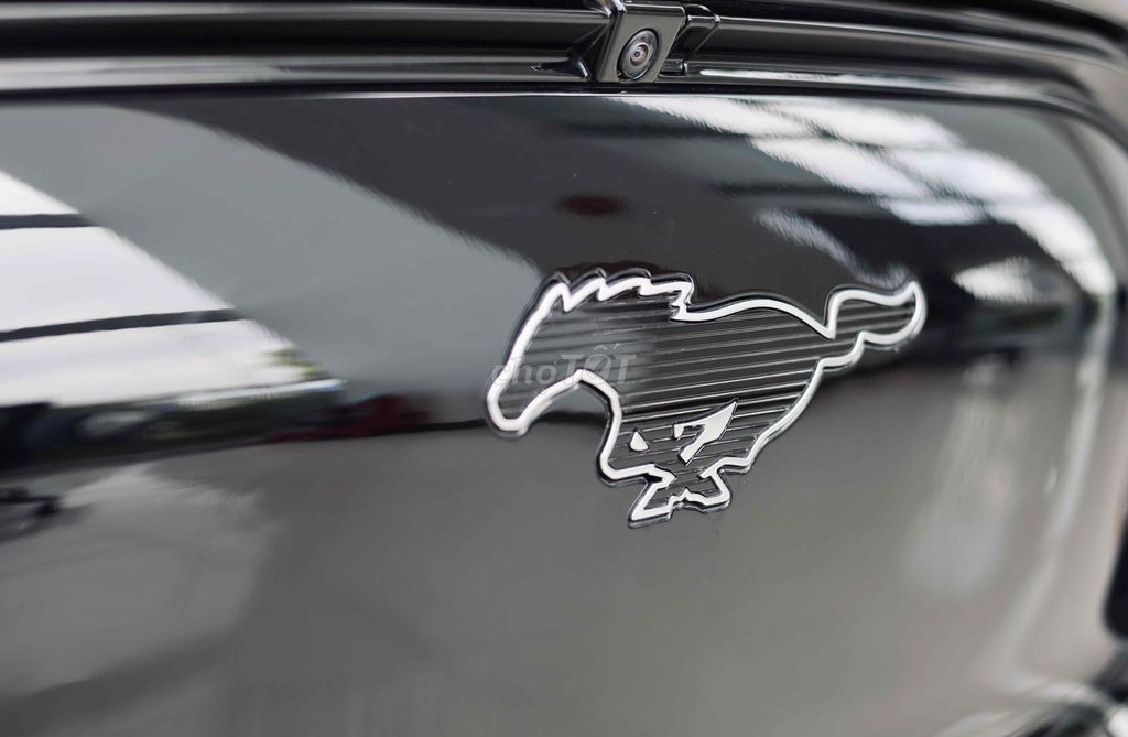 Ford Mustang Mach-E черный