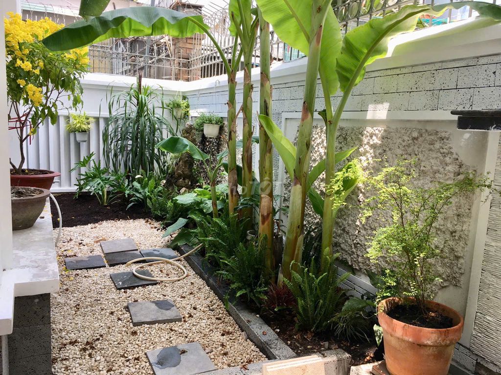 Bán Biệt Thự Ngay Đường Nguyễn Cảnh Dị, P4, Q.TB.DT 12,6x17,2m, 3 tầng. Mua bán nhà ở tại Quận Tân Bình Tp Hồ Chí Minh được đăng bởi Hân Nhà Đất hình 1