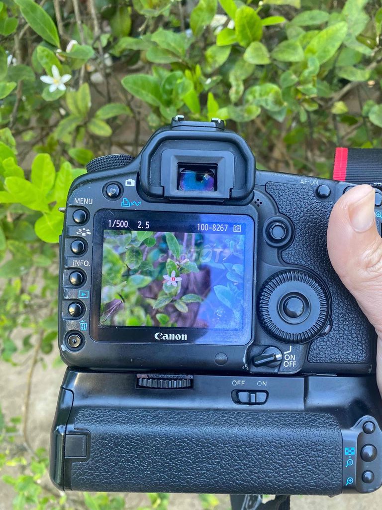 Máy ảnh Canon EOS 5D Mark II. Mua bán Máy ảnh, Máy quay tại Huyện Trảng Bom Đồng Nai được đăng bởi trọng thủy hình 1