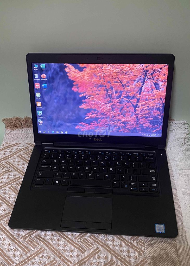Dell Latitude 5490 I5-7300U 14inch 8GB/256GB Cũ. Mua bán Laptop tại Quận Tân Bình Tp Hồ Chí Minh được đăng bởi Linh Trần hình 1