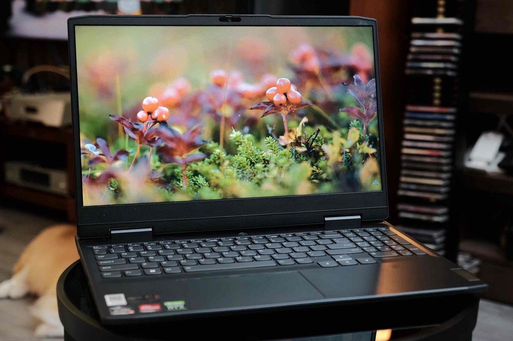Lenovo IdeaPad Gaming 3 Ryzen 5 đẹp 98.5%. Mua bán Laptop tại Quận Bình Thạnh Tp Hồ Chí Minh được đăng bởi Vân Anh 2Tech House hình 1