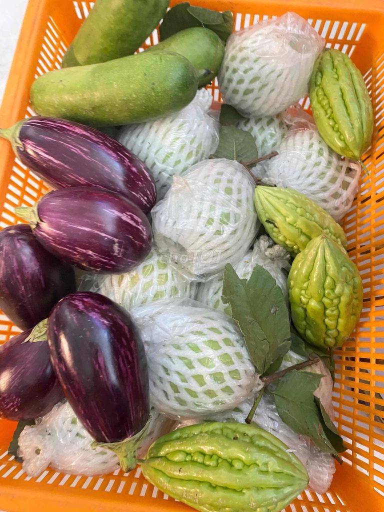 🛒🥑 1 RỔ ( 5kg )