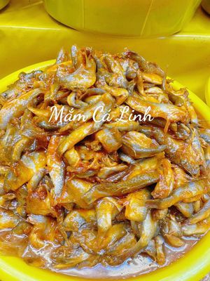 Mắm Cá Linh. Mua bán Đồ ăn, thực phẩm và các loại khác tại Quận 6 Tp Hồ Chí Minh được đăng bởi nguyễn văn huynh