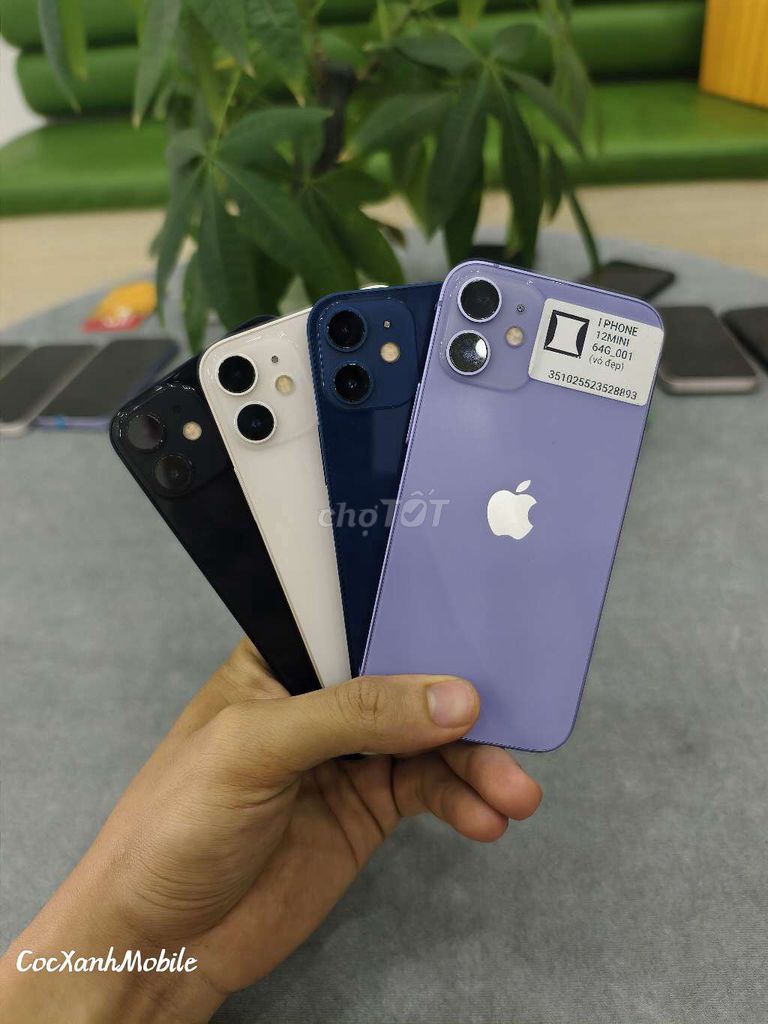 Apple iPhone 12 Mini 64GB Zin đẹp 99%. Mua bán Điện thoại tại Quận Liên Chiểu Đà Nẵng được đăng bởi Minh Hiệp CócXanhMobile hình 1