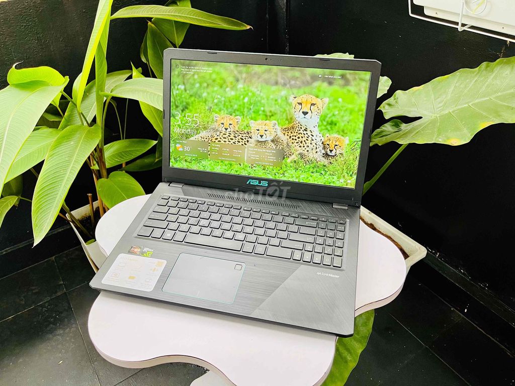Asus VivoBook AMD R5/12GB/240GB/GTX1050. Mua bán Laptop tại Quận Lê Chân Hải Phòng được đăng bởi Nguyễn Hải Duy hình 1