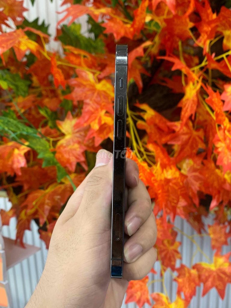 iphone 12pro nậu sớ đưa 2tr nhận máy. Mua bán Điện thoại tại Quận Ninh Kiều Cần Thơ được đăng bởi PNC STORE hình 1