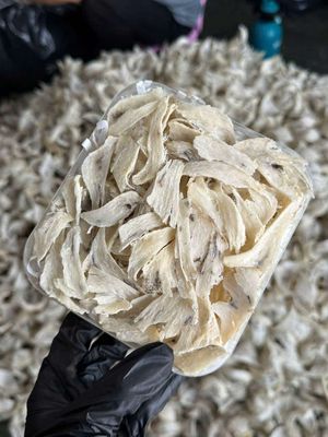 Tổ yến thô 1kg ít lông. Mua bán Đồ ăn, thực phẩm và các loại khác tại Quận Gò Vấp Tp Hồ Chí Minh được đăng bởi BÙI THỊ YẾN OANH 