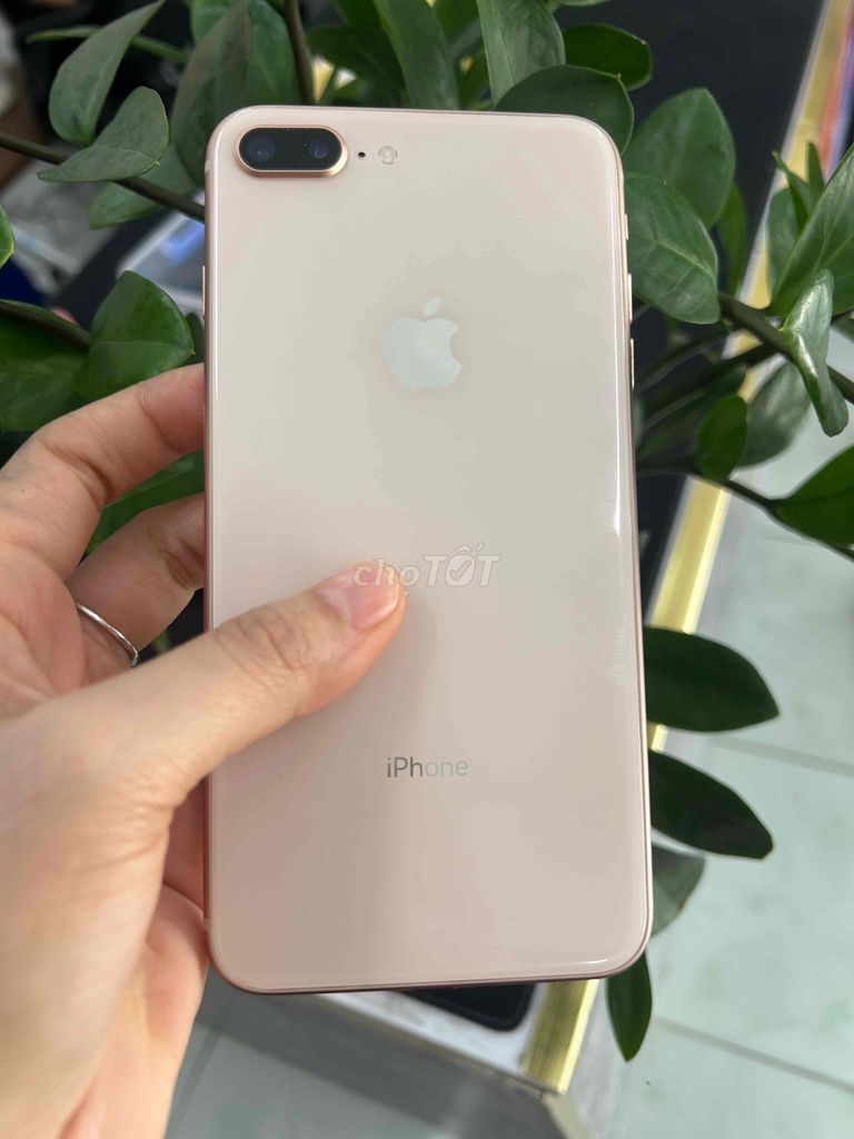 iPhone 8 Plus 64GB Hồng. Mua bán Điện thoại tại Thành phố Thuận An Bình Dương được đăng bởi Yến Đinh Thị Hải hình 1