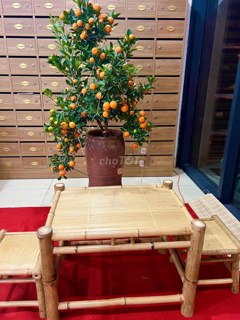 Thanh lý bộ bàn ghế mây tre. Mua bán Bàn ghế tại Quận Bắc Từ Liêm Hà Nội được đăng bởi Thanh Nga hình 1