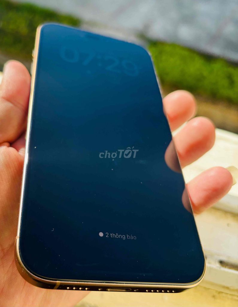 iPhone 16 Pro Max 256GB Vàng cát. Mua bán Điện thoại tại Thành phố Đà Lạt Lâm Đồng được đăng bởi You You hình 1