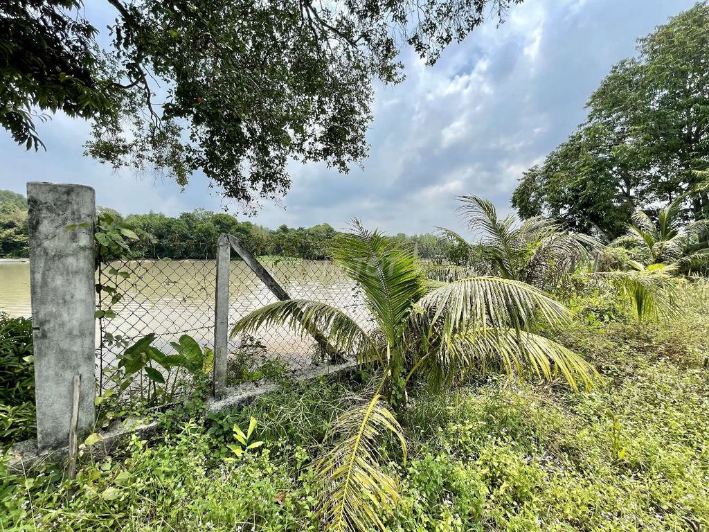 Bán vườn tại xã An Phú, Củ Chi, TPHCM 5,3 tỷ, 2861 m2 , thổ cư 95,6 m2