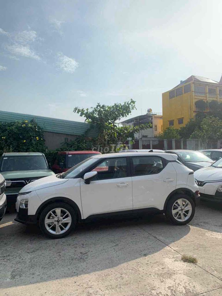 Ảnh số 5