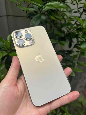 Iphone 13 pro 128g bản qte vàng zin đẹp màu chất