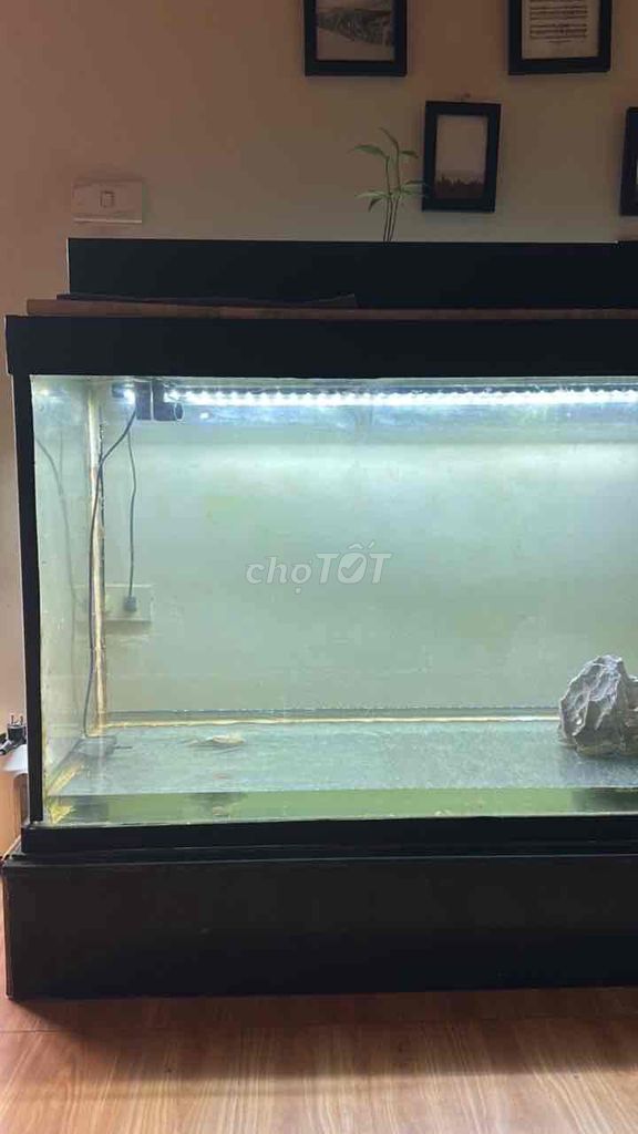 Bể cá cảnh Kính 1m2x70x50cm. Mua bán Phụ kiện, Thức ăn, Dịch vụ tại Huyện Khoái Châu Hưng Yên được đăng bởi Quang Minh hình 1