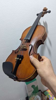 Bán đàn violin xịn