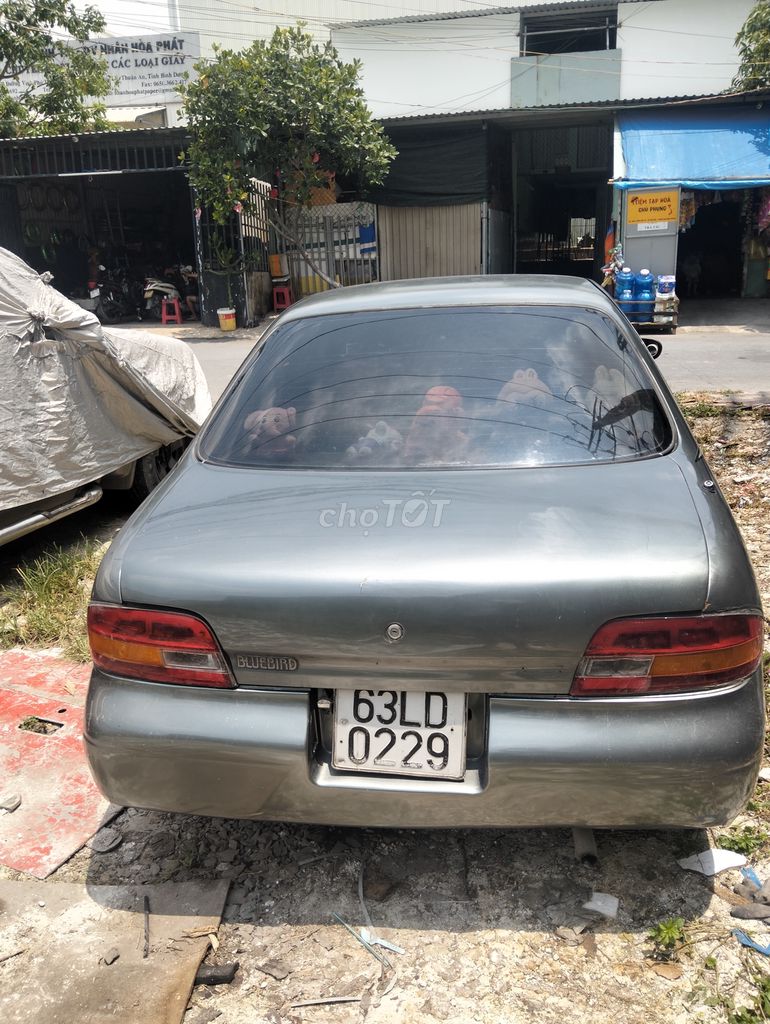 Ảnh số 5