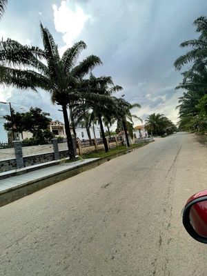 đất ở tại nông thôn. Mua bán đất tại Huyện Bến Lức Long An được đăng bởi Minh Hiếu