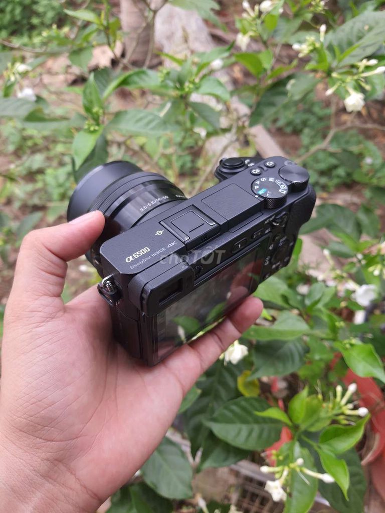 Máy ảnh Sony Alpha a6500 kèm kit 16-50. Mua bán Máy ảnh, Máy quay tại Quận Bình Thuỷ Cần Thơ được đăng bởi Beo Beo hình 1