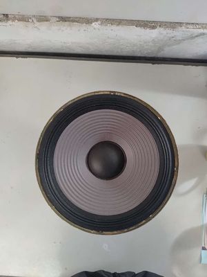 Loa bass 30 cm,. Mua bán Tivi, Âm thanh tại Thành phố Buôn Ma Thuột Đắk Lắk được đăng bởi Phuoc Truong Trung