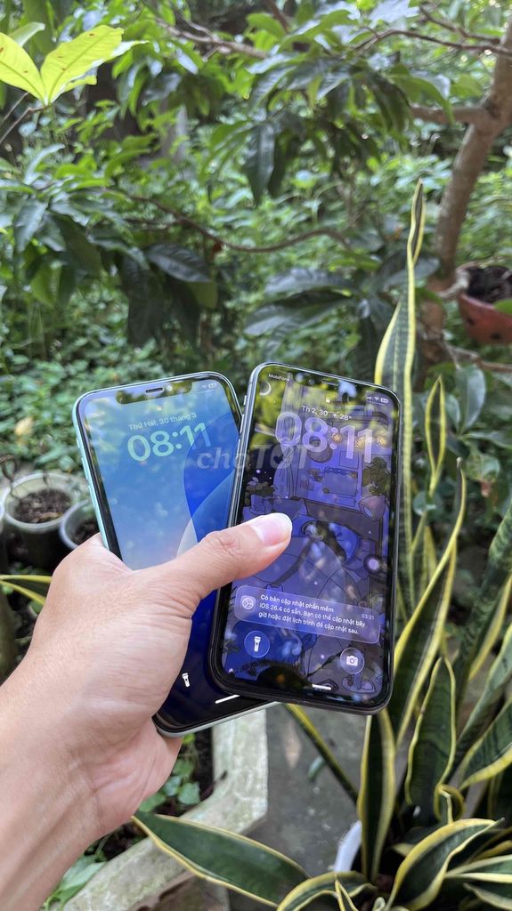 Apple iPhone 11 64GB Xanh mint. Mua bán Điện thoại tại Thị xã Hương Thủy Thừa Thiên Huế được đăng bởi Nguyễn sang hình 1