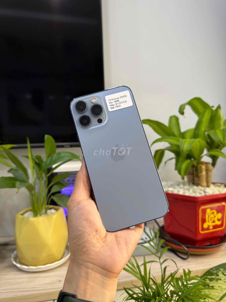 iPhone 13 Promax 256G Quốc tế Blue P100 Đẹp 98.5%. Mua bán Điện thoại tại Huyện Hóc Môn Tp Hồ Chí Minh được đăng bởi Thu hình 1