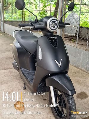 Vinfast Evo Grand /2025