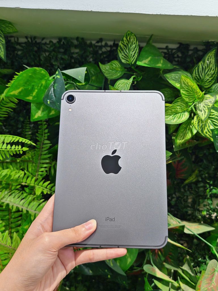 Thanh lý iPad Mini 6 WiFi LTE 64GB Zin All Pin 100. Mua bán Máy tính bảng tại Quận Phú Nhuận Tp Hồ Chí Minh được đăng bởi Hoàng hình 1