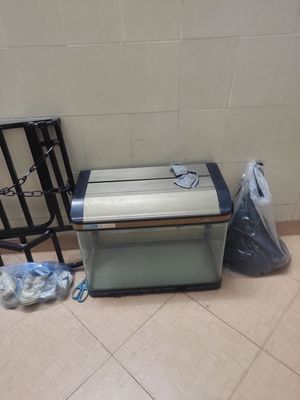 Bể cá cảnh JEBO Kính 60cm Đã qua sử dụng. Mua bán Phụ kiện, Thức ăn, Dịch vụ tại Quận Hai Bà Trưng Hà Nội được đăng bởi Sơn Vũ