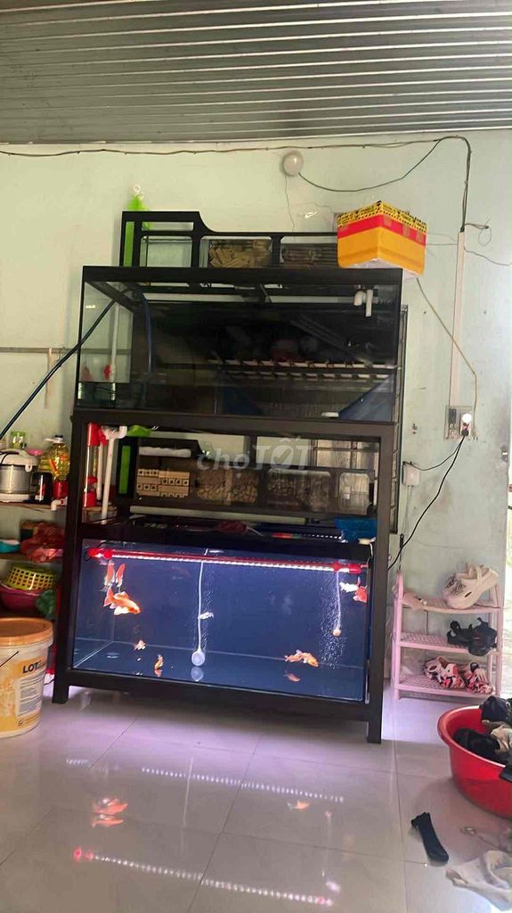 hồ đôi 1m33.60.60/1m2.60.60 mới 99%. Mua bán Phụ kiện, Thức ăn, Dịch vụ tại Quận Liên Chiểu Đà Nẵng được đăng bởi phuong hình 1