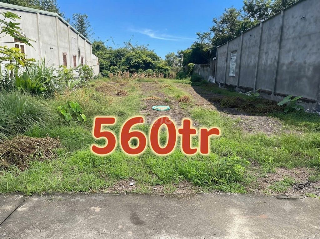 ĐẤT TP.HCM Ngay Khu Dân Cư Đông Đúc Cách Chợ Đúng 500m