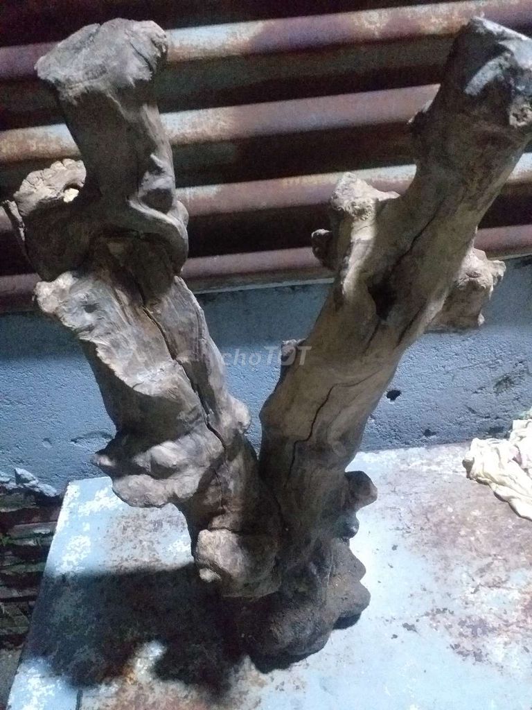 Cần để lại khúc gỗ như hình . Giá 100k