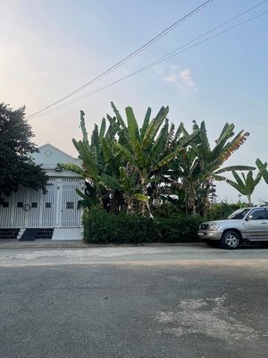 Plot of land 100 m² · Đường Liên Phường