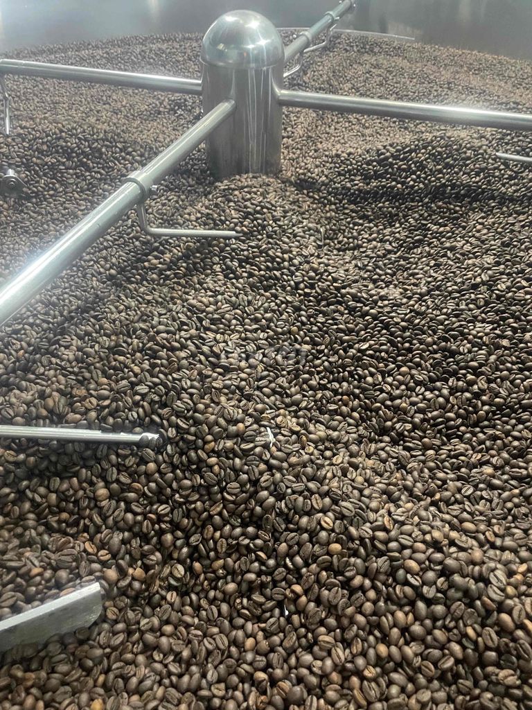 🌱 CÀ PHÊ HẠT NGUYÊN CHẤT – CHẤT LƯỢNG DÀNH CHO QUÁ. Mua bán Đồ ăn, thực phẩm và các loại khác tại Thành phố Thủ Dầu Một Bình Dương được đăng bởi KHO CAFE SG hình 3